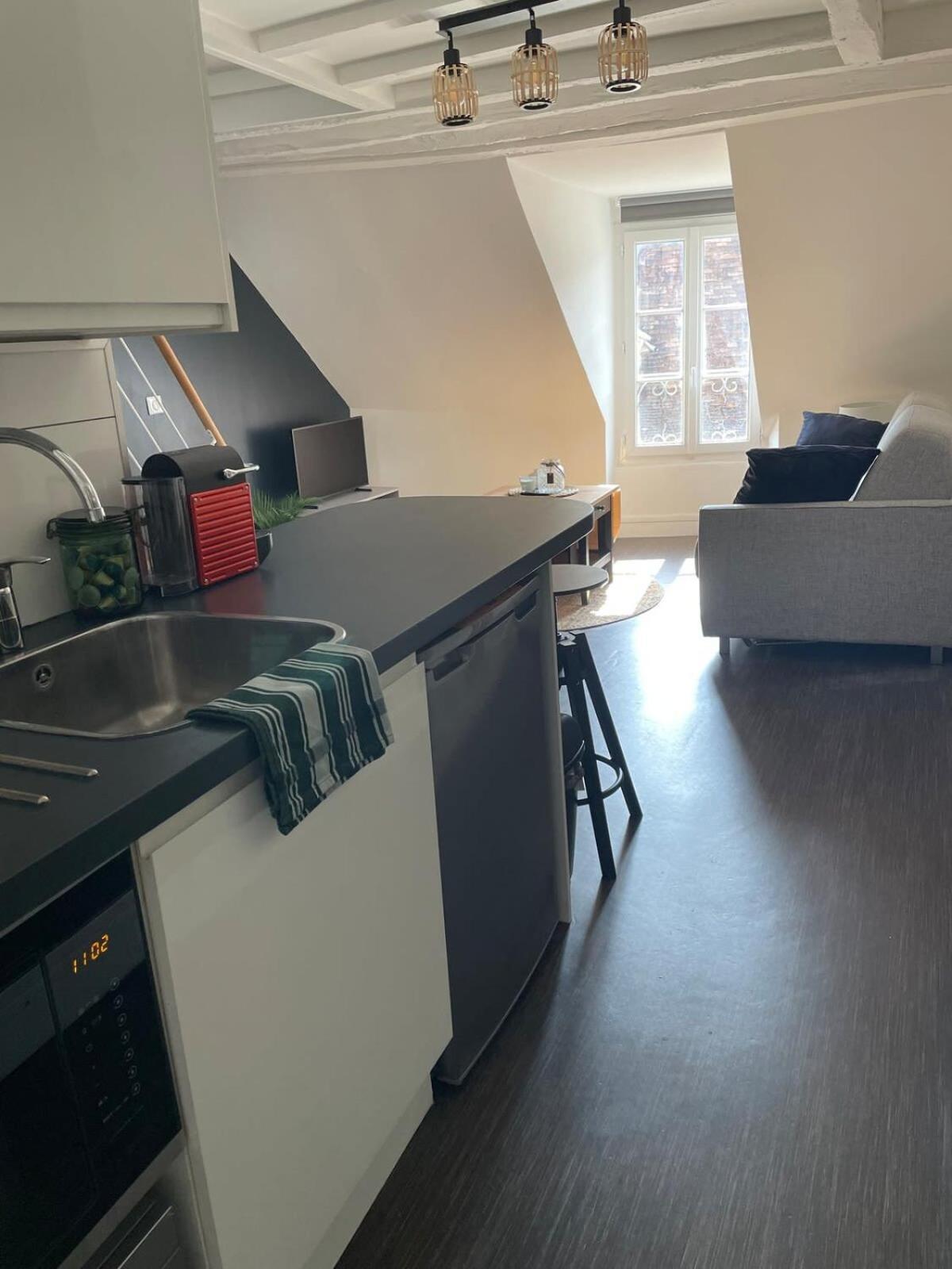 Apartment Duplex - Chez Florian Fontainebleau